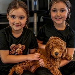 Max - Red  male Goldendoodle puppy in Lancaster, California from Kid's Best Doodle