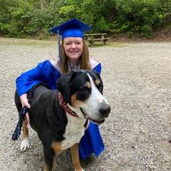 Greater Swiss Mountain Dog All Grown Up from Lone Palm