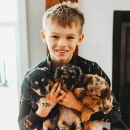 Dachshund Puppies from Doxie View Acres