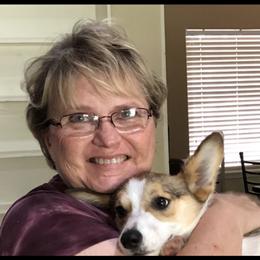 American Corgi and Pembroke Welsh Corgi Puppies from Corgi Daze