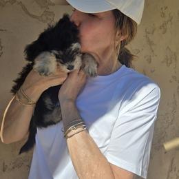 Yorkipoo Puppies from TheSocialk9