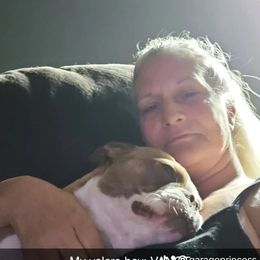 Vance - Boston Terrier