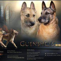 Belgian Laekenois puppies from Guenshci's Belgian Laekenois