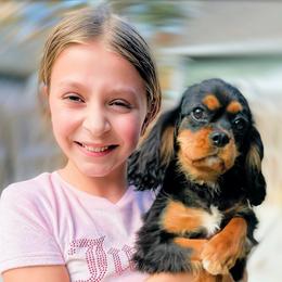 Mitzi - Cavalier King Charles Spaniel