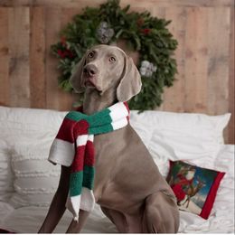 Weimaraner Puppies from Freehart's Weimaraners