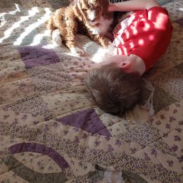 Aussiedoodle, Bernedoodle, and Poodle Puppies from Color Country Doodles