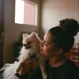 Pomeranian puppies from Picture Perfect Poms