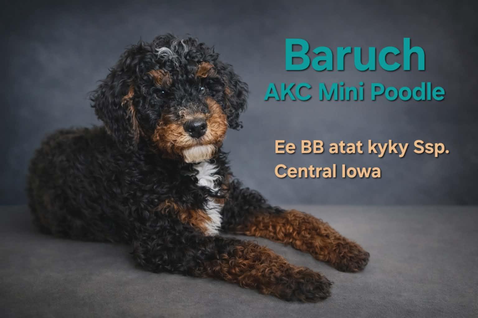 Baruch