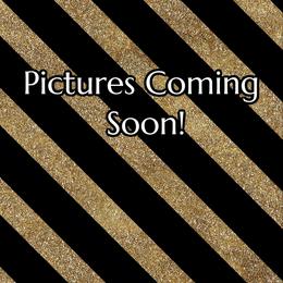 Male 4 - Black and tan male Yorkipoo puppy in Coshocton, Ohio from Forever Family Puppies
