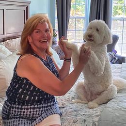 Goldendoodle, Poodle, and Sheepadoodle All Grown Up from Brewer's Goldendoodles & Sheepadoodles