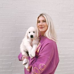 Golden Retriever Puppies from Claiborne Golden