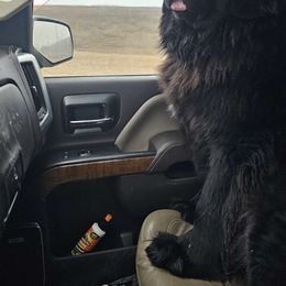 Jada - Newfoundland