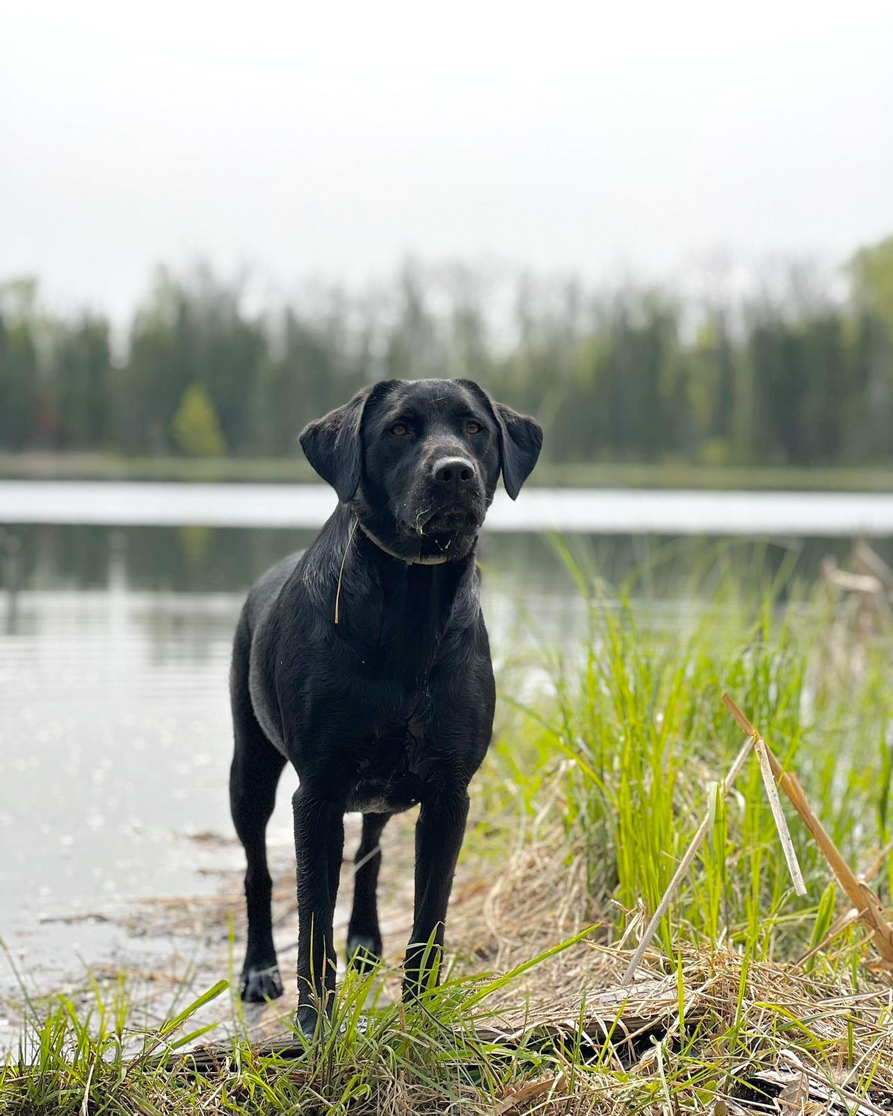 Maggie