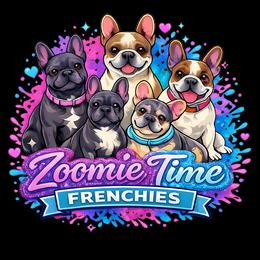 French Bulldog Puppies from Zoomie Time Frenchies