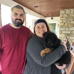 German Shepherd Puppies from Von Hoene Heritage Shepherds