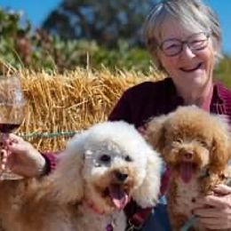 Assorted Doodle Crosses and Poodles from Denim and Diamond Doodles