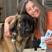 Nuit - Leonberger