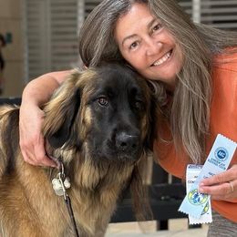 Nuit - Leonberger