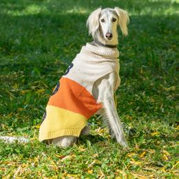 Phantom - Saluki