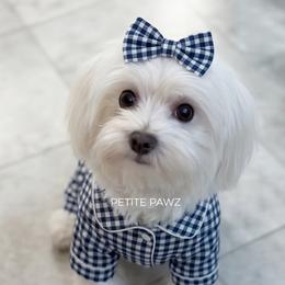 Penny - White female Maltese puppy in Tampa, Florida from Petite Pawz