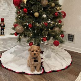 Hendrix - Cream male Maltipoo puppy in Nokomis, Florida from Sunset Farm Florida
