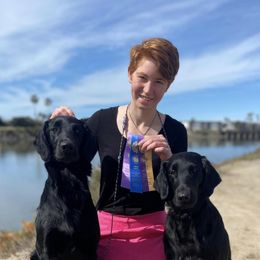 Flat-Coated Retrievers from ArticWyns