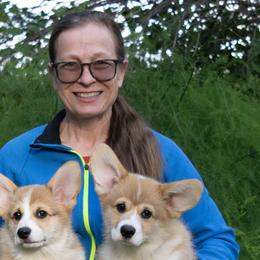 Pembroke Welsh Corgis from Celtcroft Corgis