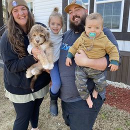 Aussiedoodle Puppies from Gore Doodle Ranch