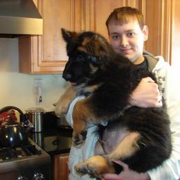 German Shepherd and Miniature American Shepherd Puppies from Bouchard’s Best Shepherds