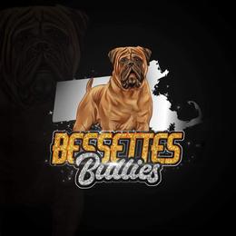 Bo - Red fawn male Bullmastiff puppy in South Attleboro, Massachusetts from Bessettes Bullies