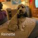 Reinette