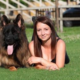 Lion - German Shepherd