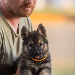 Sable Girl 5 - Sable female German Shepherd puppy in Rolling Hills, Wyoming from Wyohaus German Shepherds