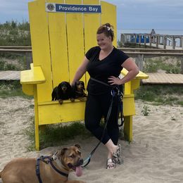 Dachshunds from Rissas CrAz Critters