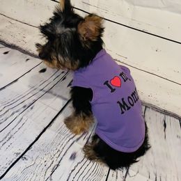 Yorkipoo and Yorkshire Terrier Puppies from Bougie Paws llc
