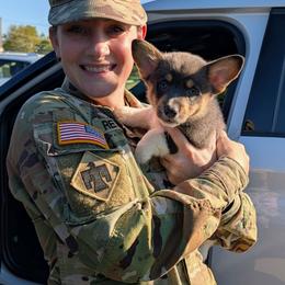 Matthew Cuthbert - Gray and white male American Corgi puppy in Paden, Oklahoma from Sunray Ranch