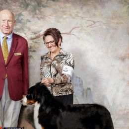 Bernese Mountain Dogs and Pomeranians from Elena's Elite Kennel