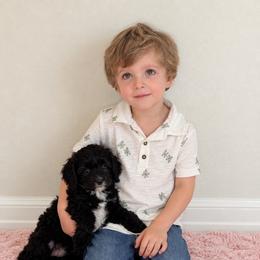 Remy - Black and chalk male Australian Labradoodle puppy in Aurora, Oregon from Divine Poodles
