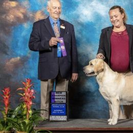 Labrador Retrievers from Chestnut Hill