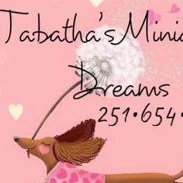 Dachshunds from Tabatha’s Miniature Dreams
