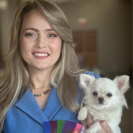 Laura - Cream female Chihuahua puppy in Leesville, Louisiana from BlackGoldToyPoodles