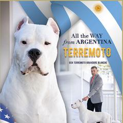 Moto - Dogo Argentino