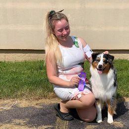 Australian Shepherd Puppies from Grand Ridge Australian Shepherds