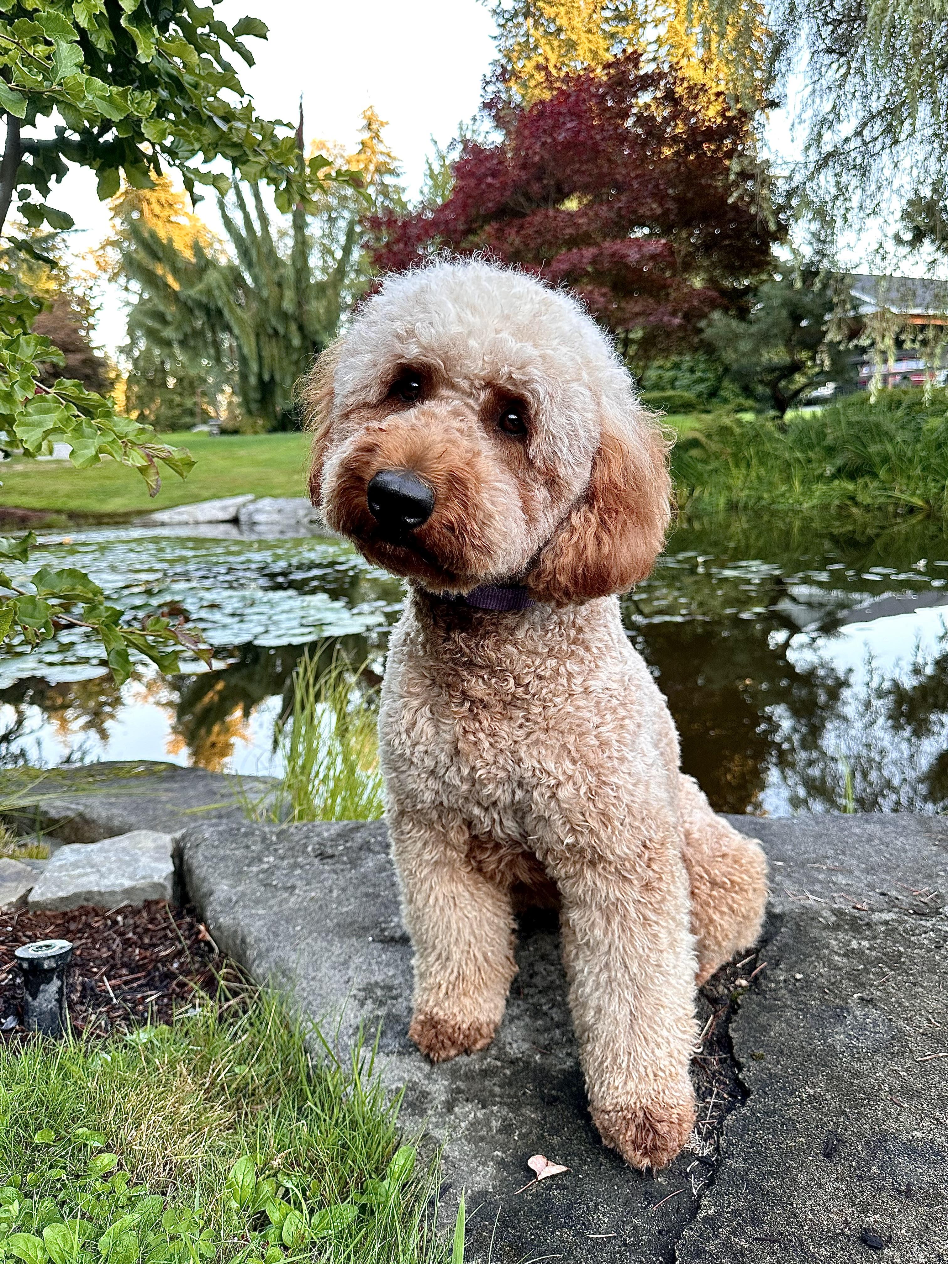 Zoe