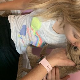 Goldendoodle Puppies from Broderick Goldendoodles