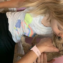 Goldendoodle Puppies from Broderick Goldendoodles