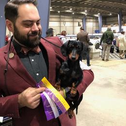 Envy - Dachshund