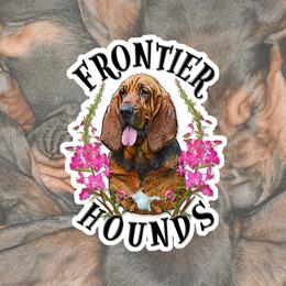 Bloodhounds from Frontier Hounds