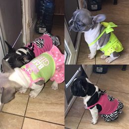 French Bulldog Puppies from Scrumptious Paws