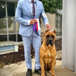 June - Cane Corso